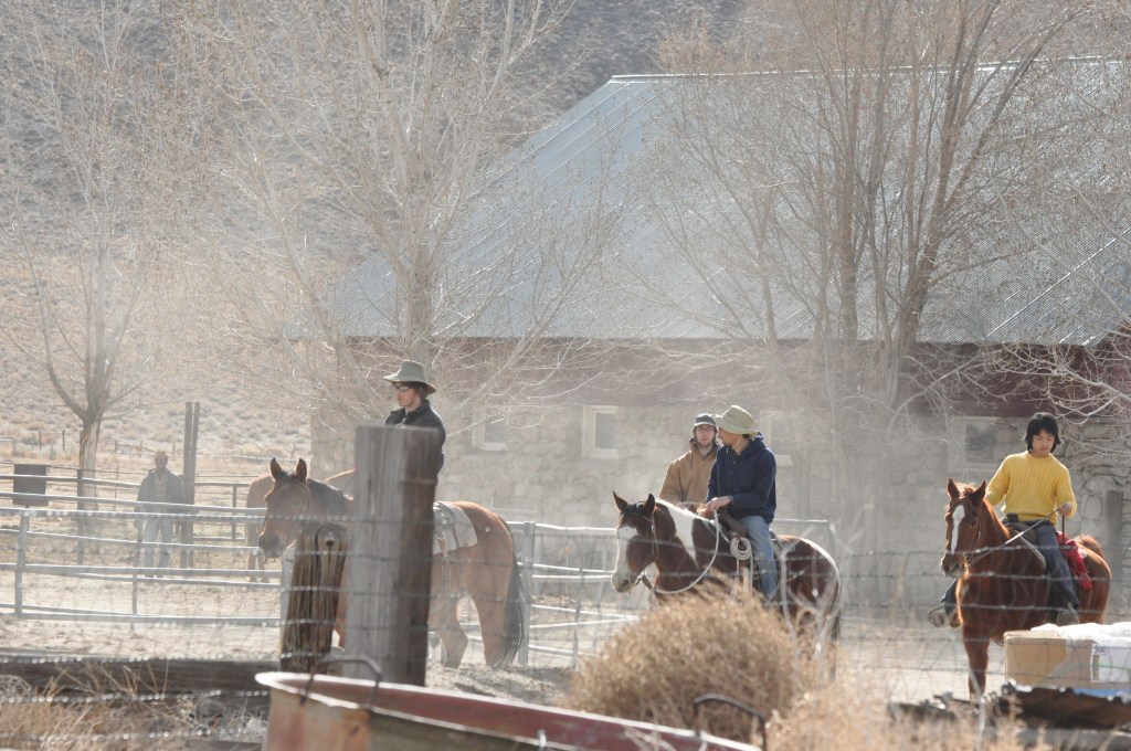 Novice cowboys joining the cattle drive.