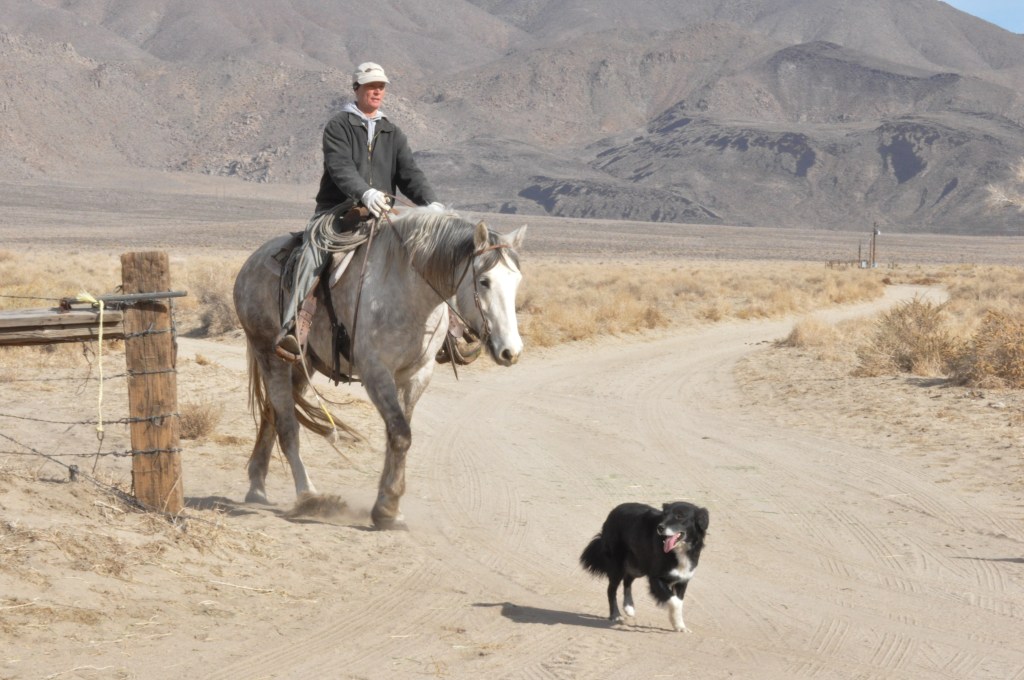 Ranch Manager Janice returning for more cowboys now that the bulls have settled down.