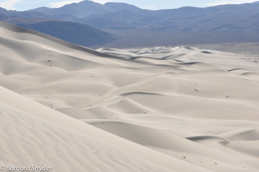View from the middle of the dune