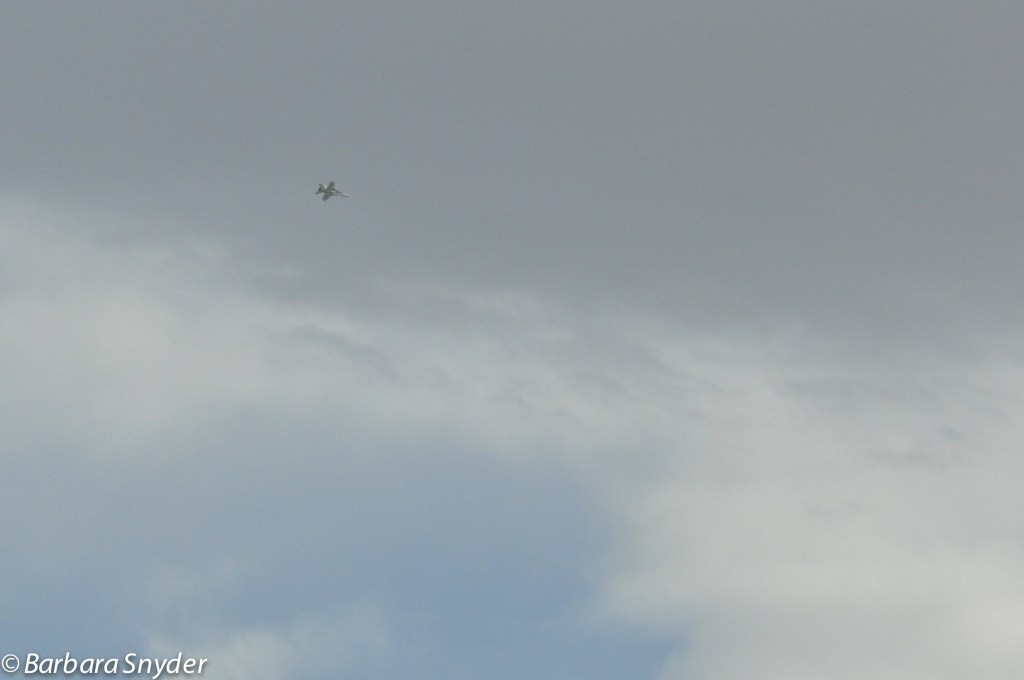 Different fighter jet - the other two were black and smaller