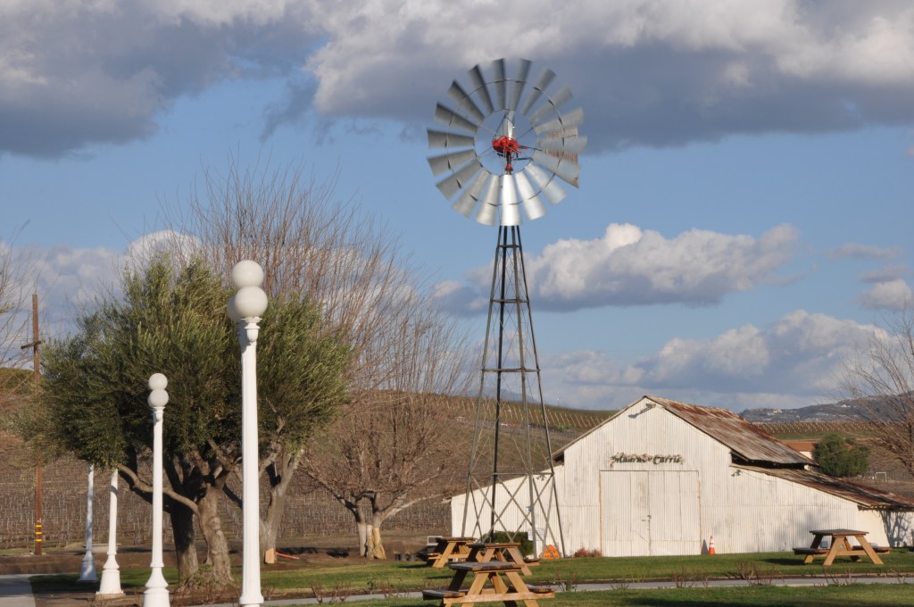 Maurice Carrie vineyard