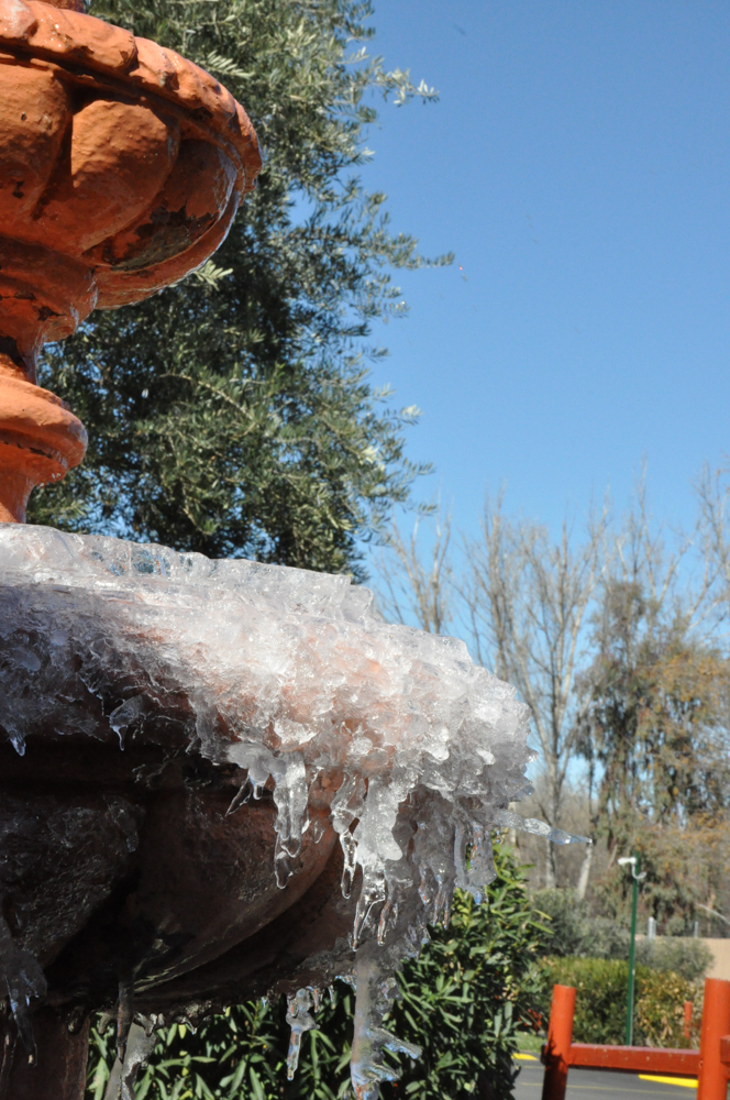 This ice was from the end of February - I missed snapping the mass of ice in January!