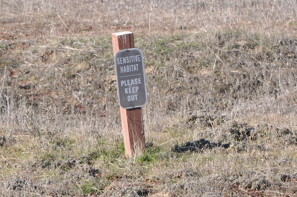 Sensitive Habitat