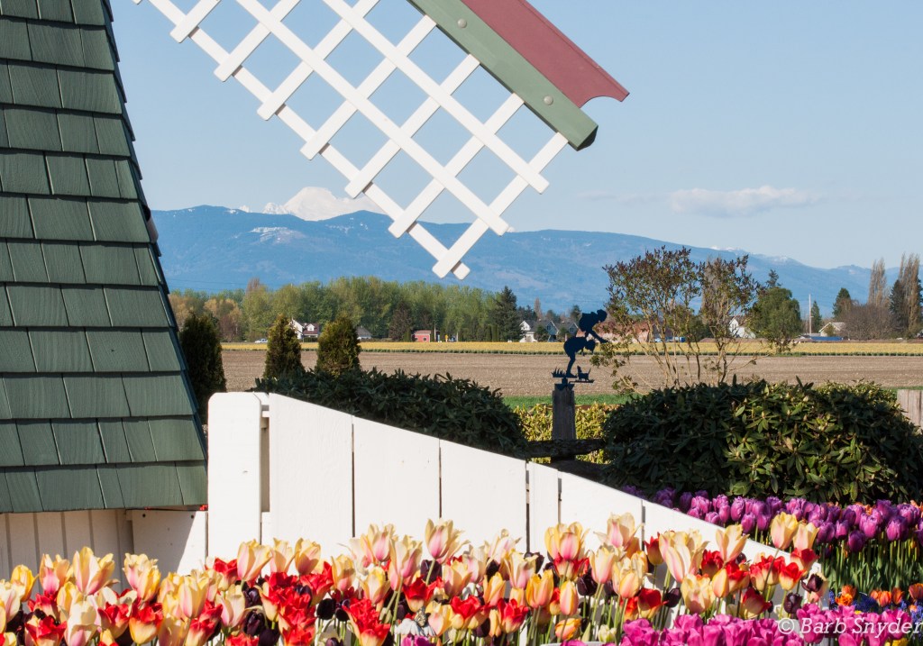 Snow capped peaks overlook the valley.