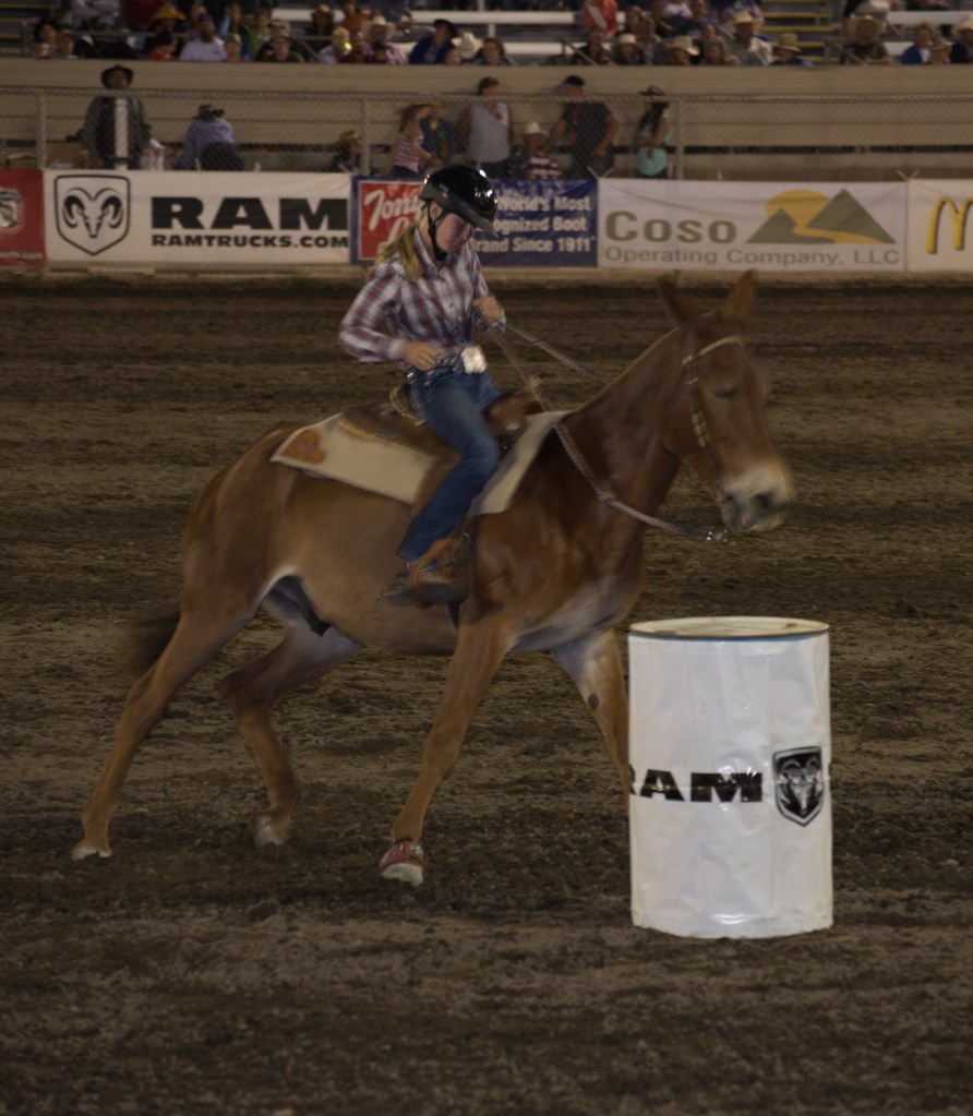 Barrel Racing