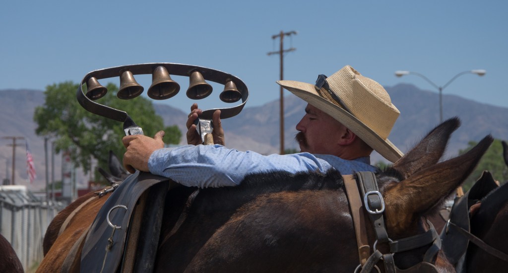 Putting the Hame Bells on for the mules to hear the walking cadence.