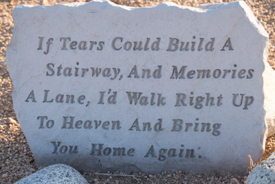 All pet lovers have felt this way.