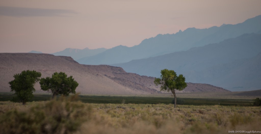 Looking south, the brown wall is one of the last walls of pumice and dust that was blown by the volcano 35 miles north.