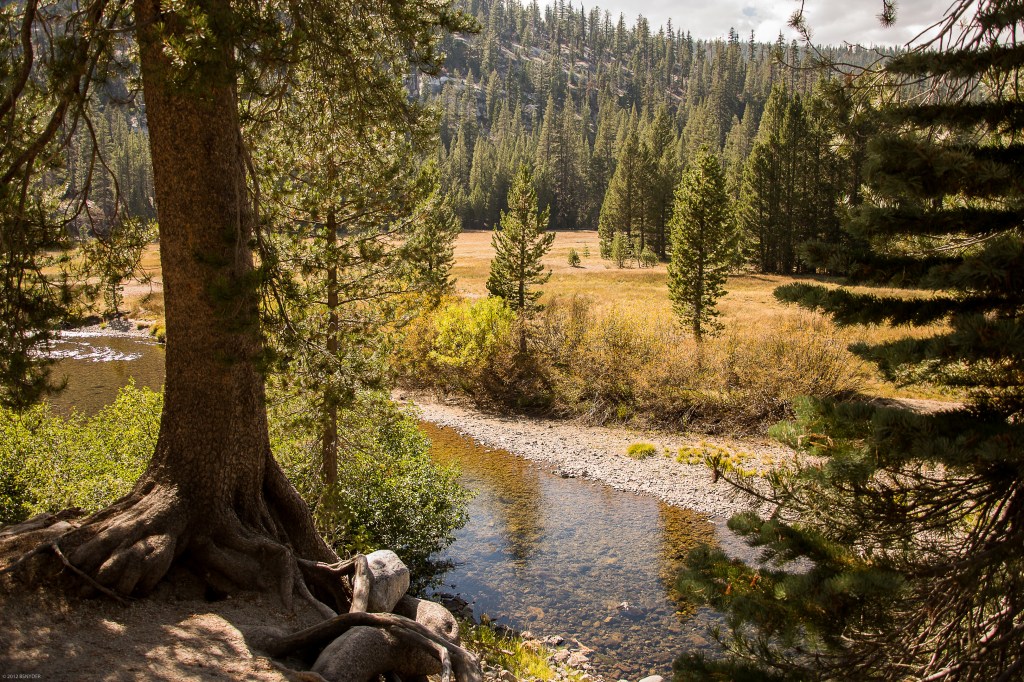 On the way to Devil's Postpile.