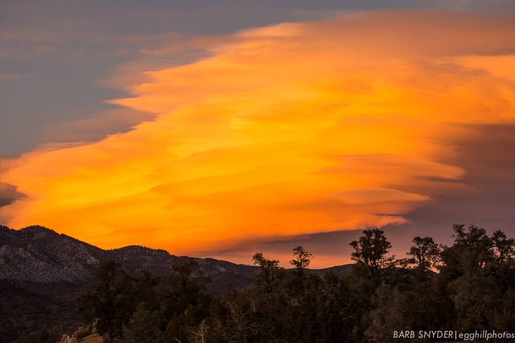 passlenticular (1 of 1)