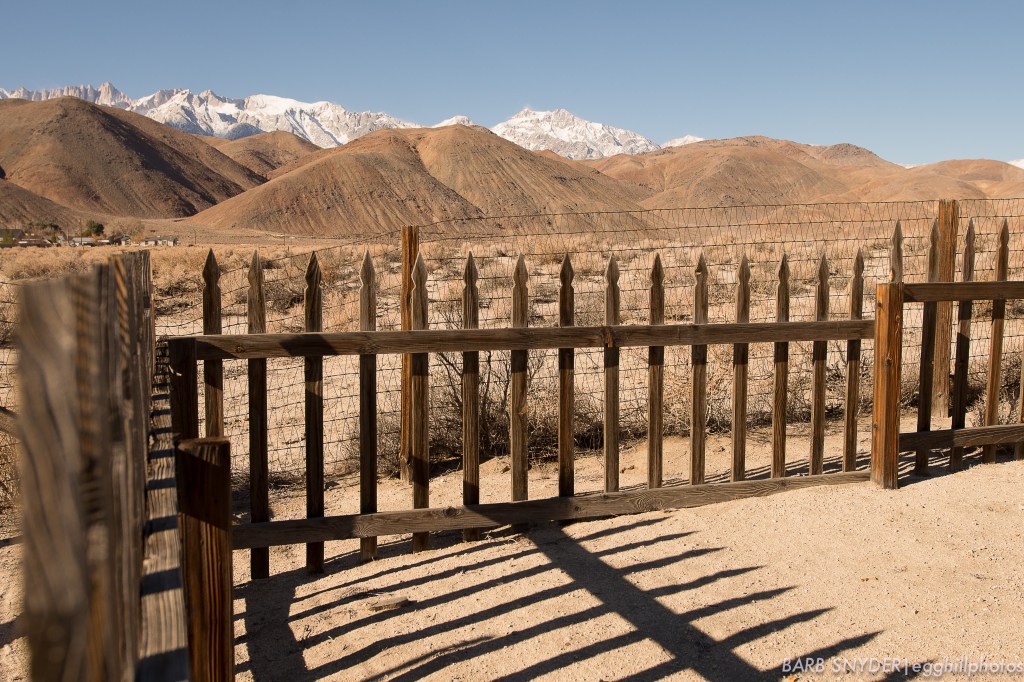 Mt. Whitney in background (highest peak)