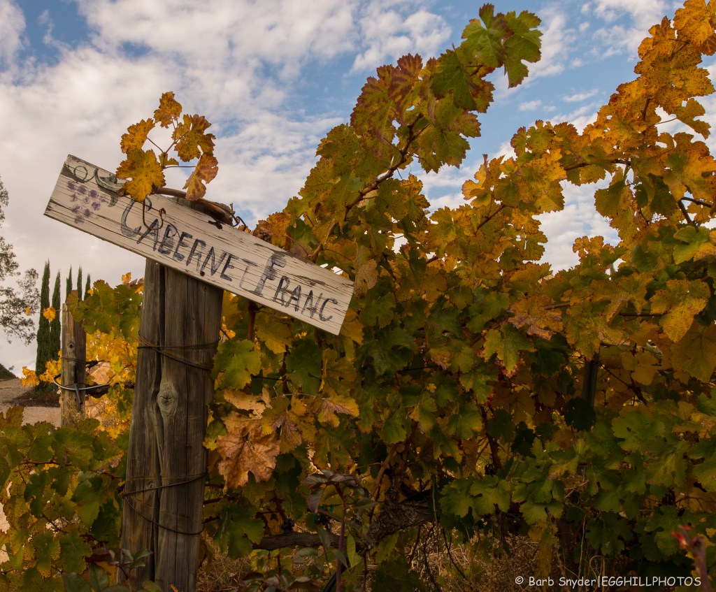 cabernetfranc