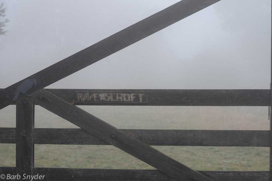 The name matches the foggy weather (Poe like).