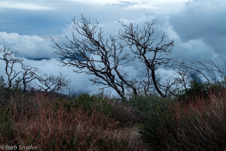 The clouds are starting to break up.