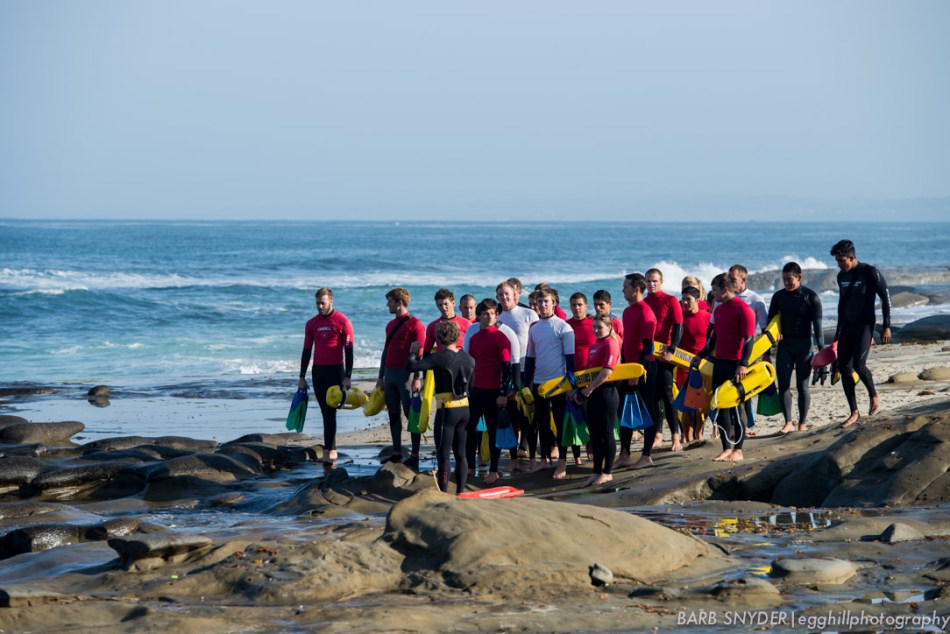 Lifeguards for Summer 2014 