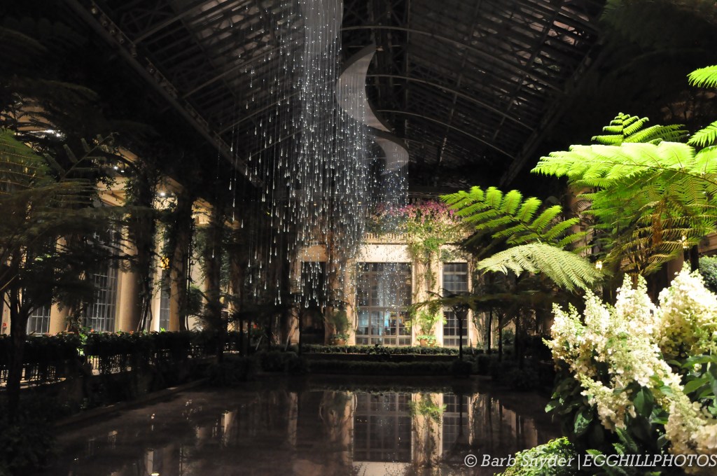 The main conservatory.