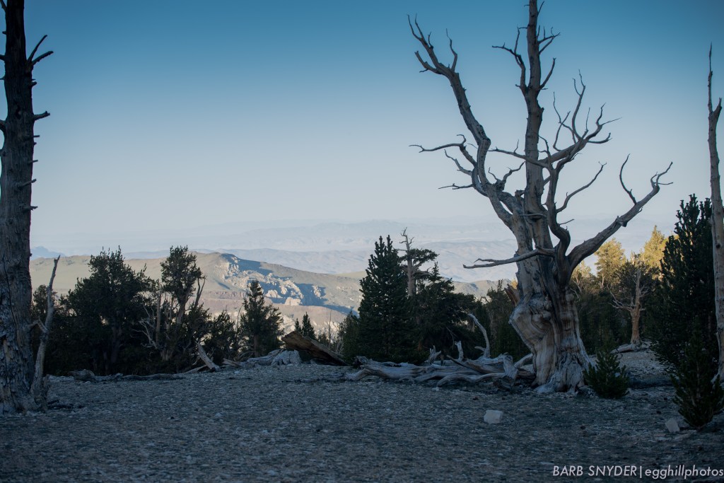 Looking across the ridges into Nevada.