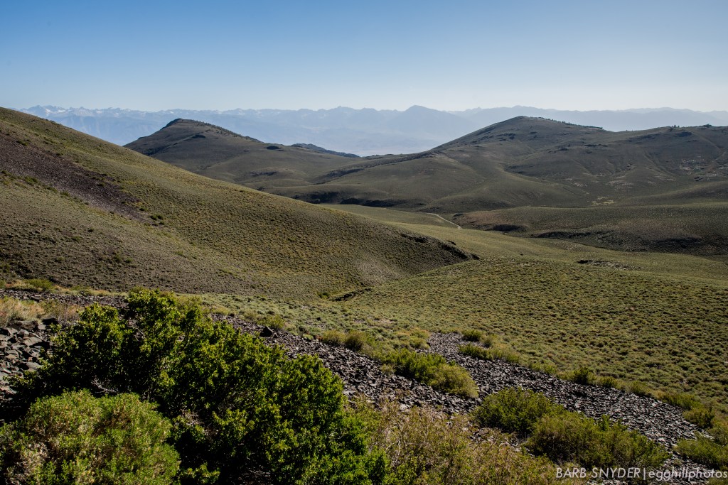 Recent rains have greened the mountainsides.