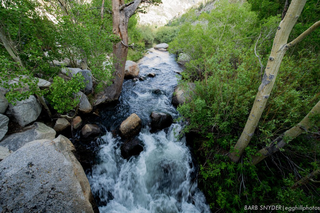 The view from the bridge.