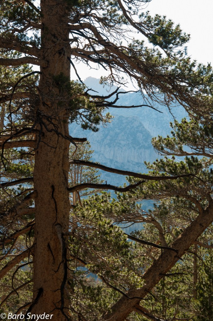 The purple time of day. A post is coming up about this later.