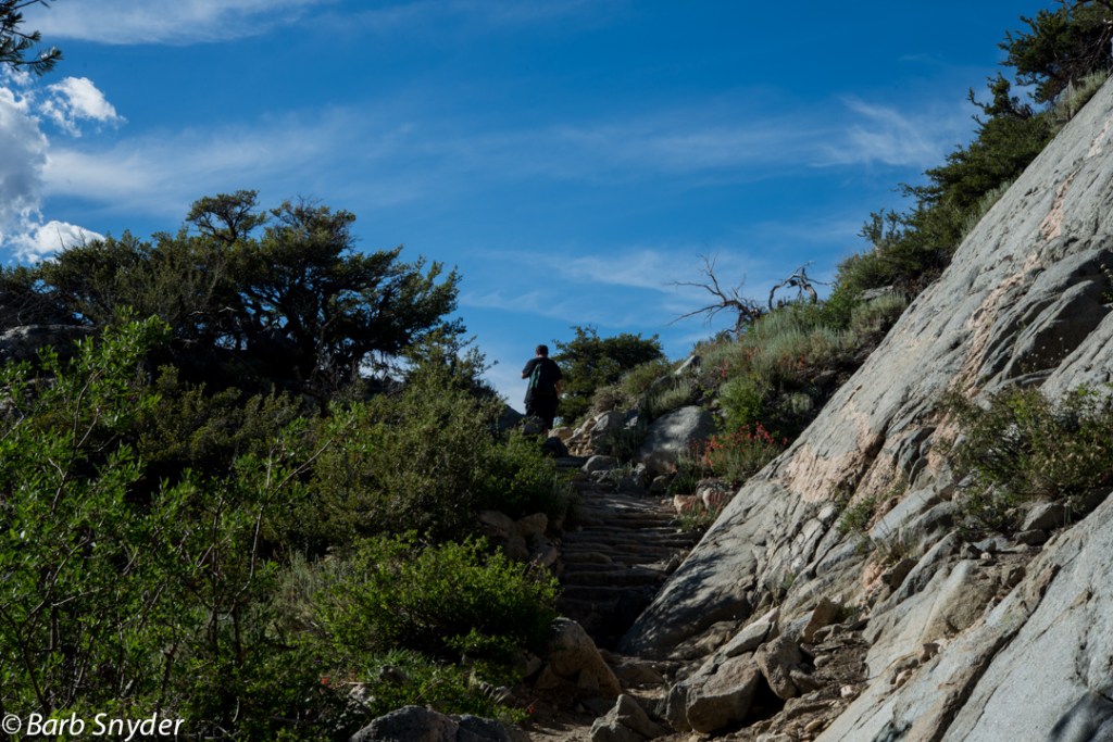 After meeting the man going up in the photo for the second time today, I decided to go back down without trying to make it to Blue Lake.