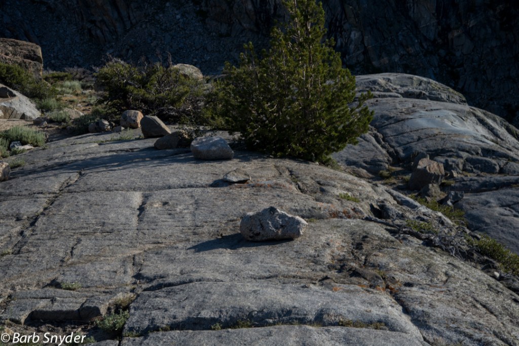This granite is part of the trail, you can see the striations from glaciers passing over it.