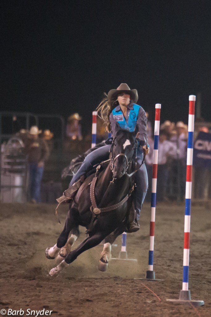 Pole Bending - kind of like weave poles for dog agility.