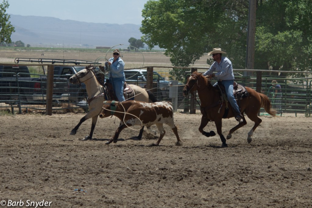 This pair roped their steer. It's often a cowgirl and cowboy team.