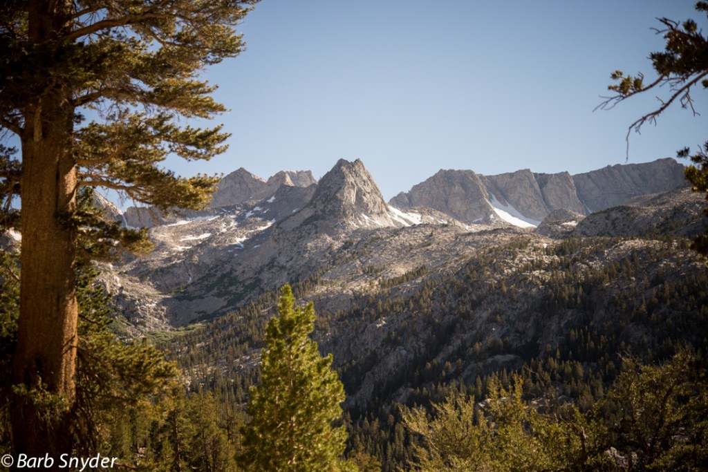 The Pacific Crest Trail is up amoung the snow patches.