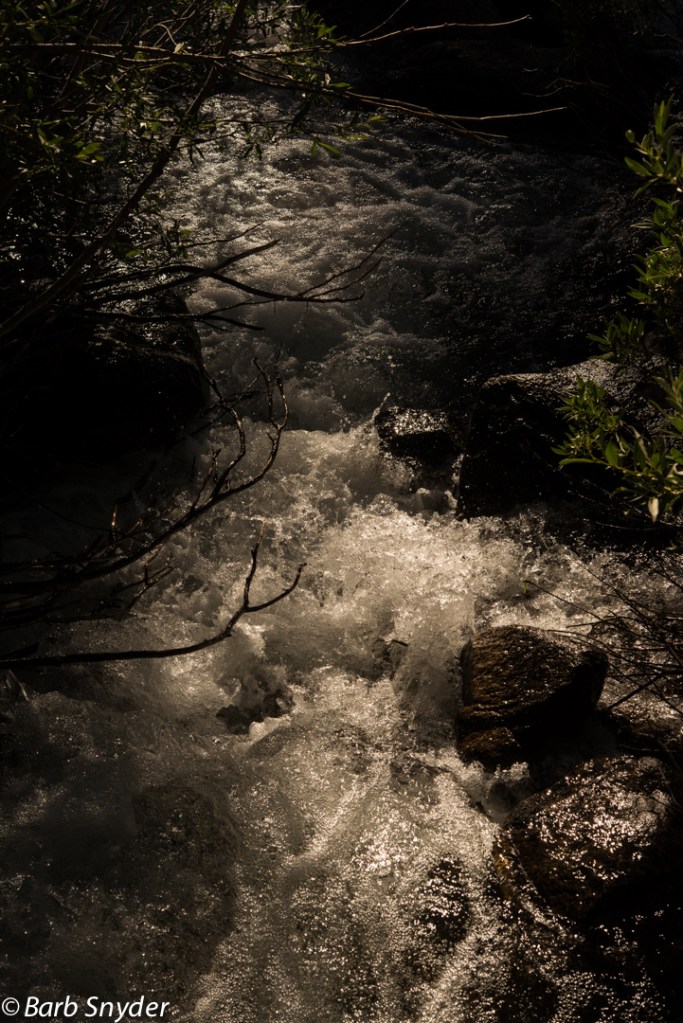 The view from the bridge.