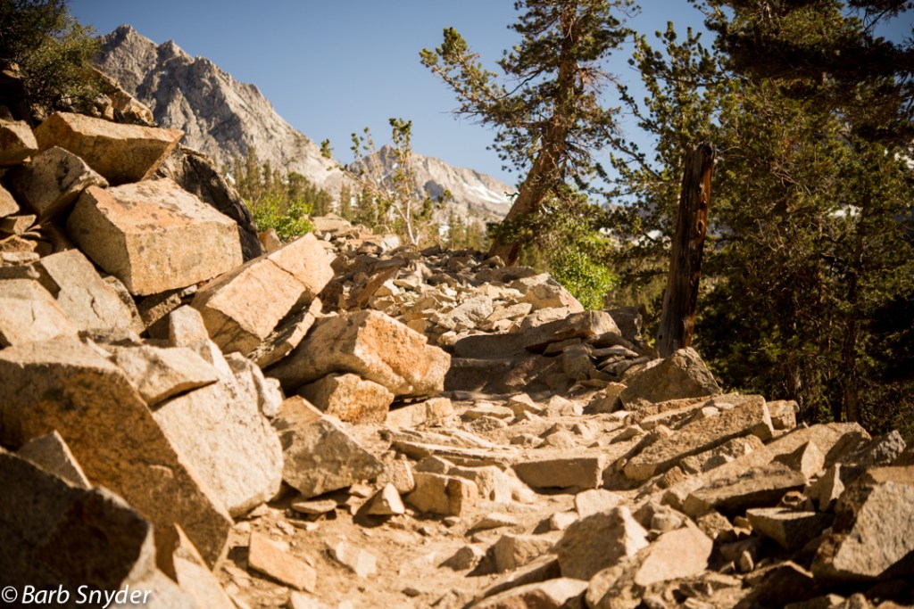 The trail started roughly, but became smoother after this (for a while).