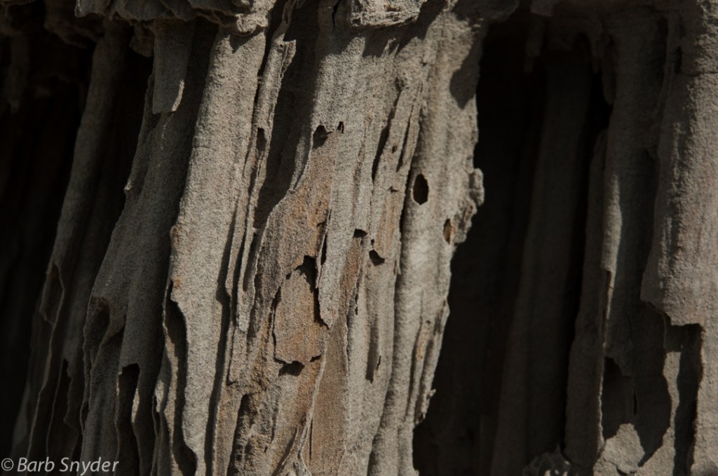 These sand tufas were formed by mineral springs on the bottom of the lake bubbling up. Now they are high and dry because of the lake having been drained for Los Angeles (a post for another time).