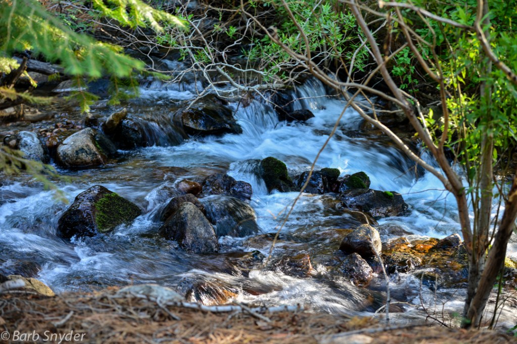 JuneLakeLoop (13 of 24)