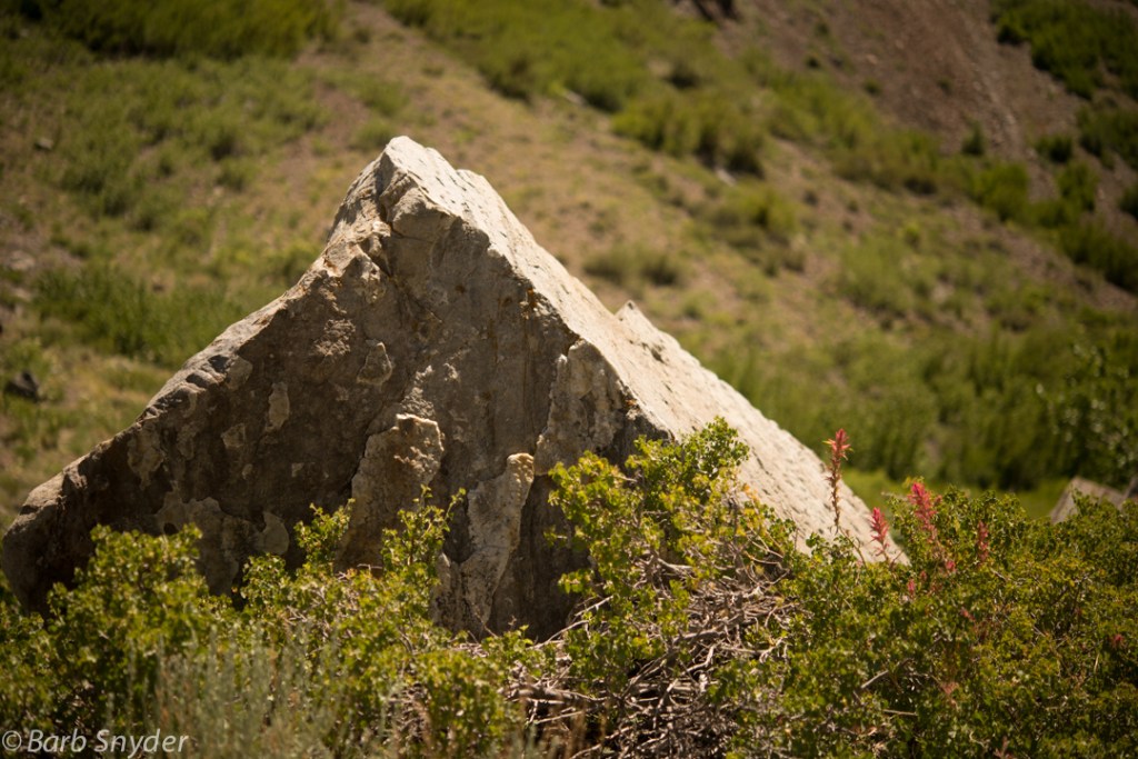 This mini mountain sat by the side of the return trail.