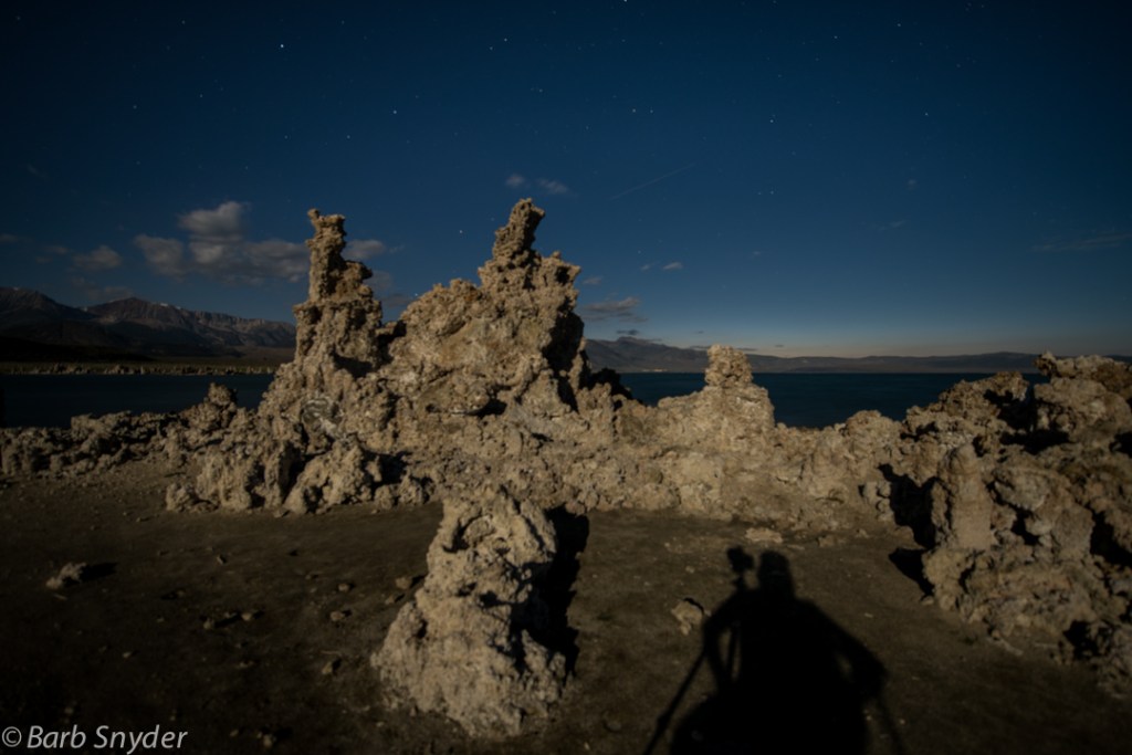 The moon in June was so bright you can see my shadow.