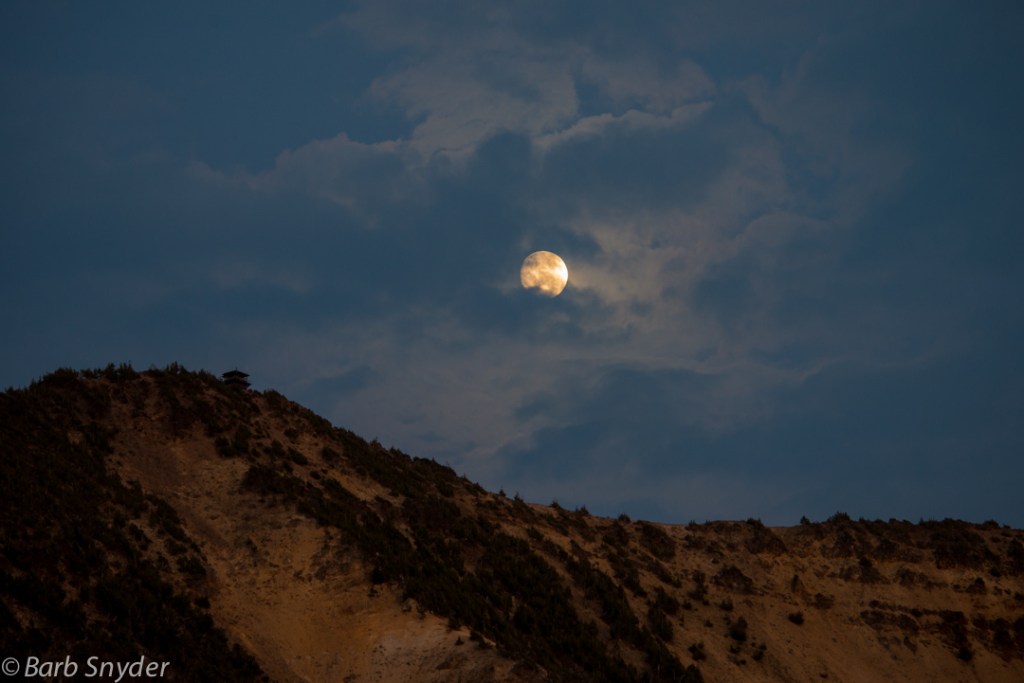 This is near where I was writing. The slope is crumbling downward constantly, becoming smoother all the time.