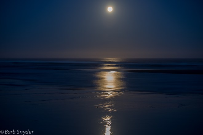 Setting Moon
