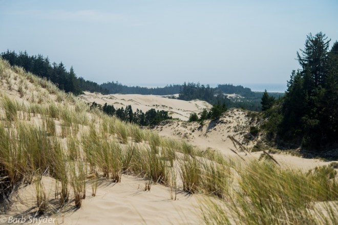 The dunes were wide and high and hot.