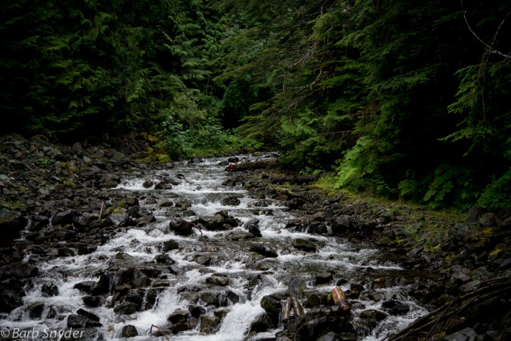 All the creeks and rivers are gray from glacier melt and minerals and yes, it was a gray day.