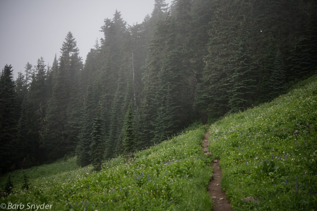 This is when the sun was still trying to pop through.