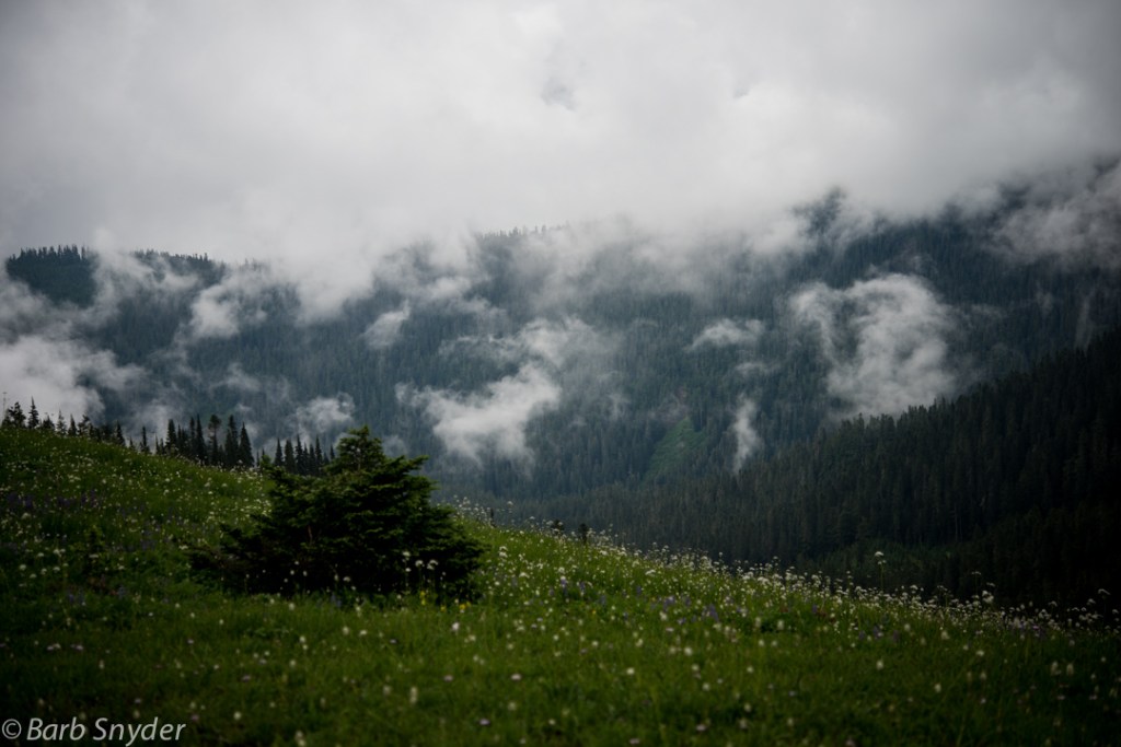 Stopped raining by the time lunch was over, a little bit of sun was coming through.