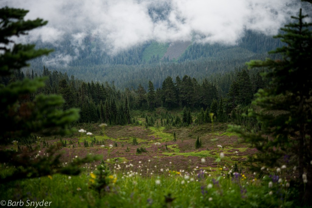 The pinkish color in the far valley is from Heather.