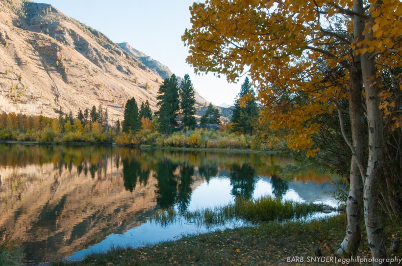 This is a lake where Los Angeles still gets its water, piped in a fat pipeline to the city 266 miles away.