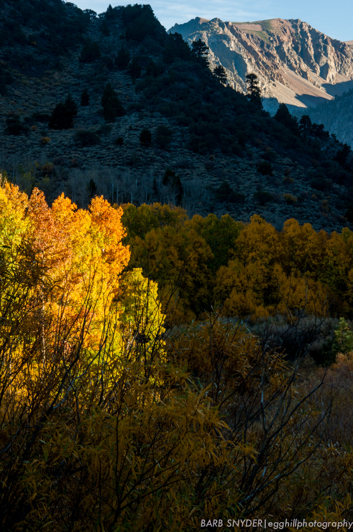 The sun is going down behind Yosemite.