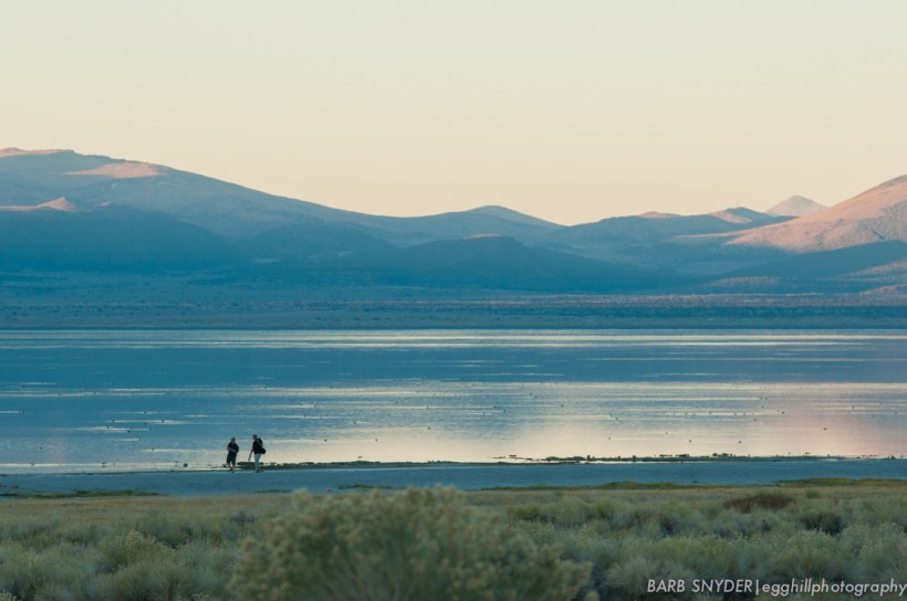 Since I had hiked earlier in the day, I didn't even waste my steps down to the lake.