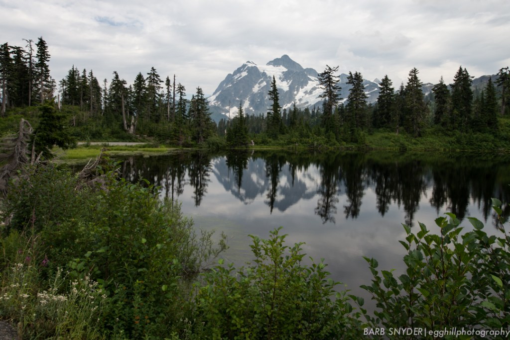 This is the last view of Mt. Shuksan on the way down the road. I left for home the next morning!