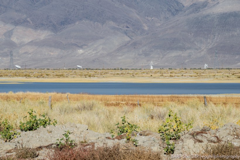 Dry Lake Bed
