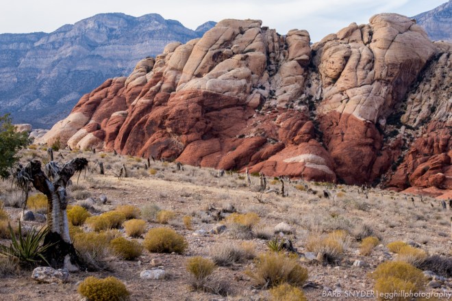 Three-tones of desert.