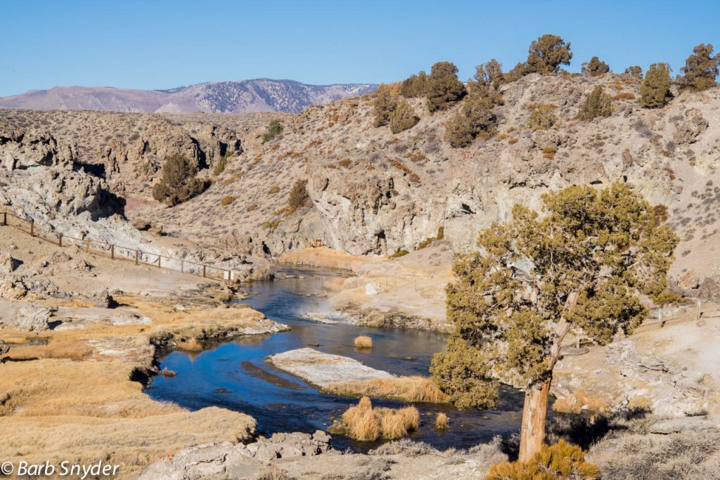 You cannot see it from the photo, but further down the creek, the water was bubbling and steaming out of the small pool beside the creek.