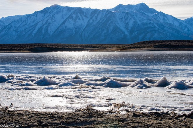 Crowley Lake Waves